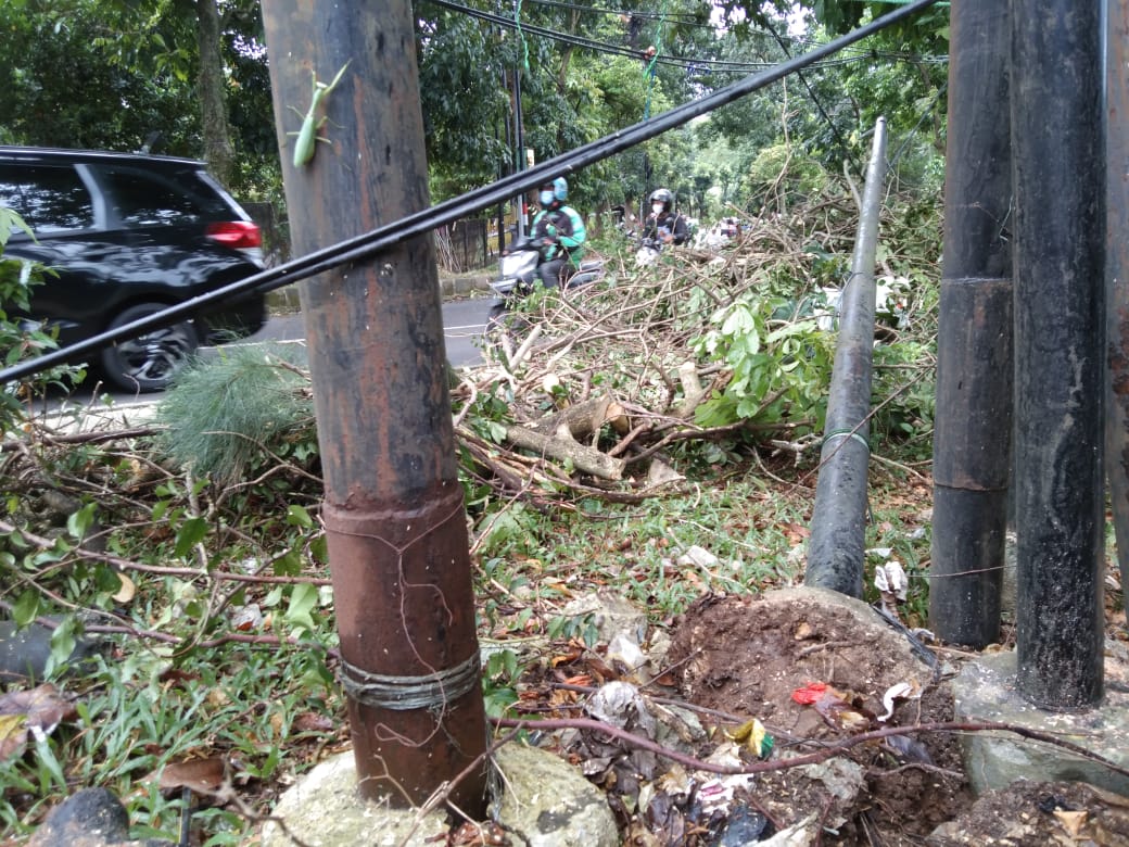 Kota Bogor Diterjang Angin Kencang Pohon Tumbang