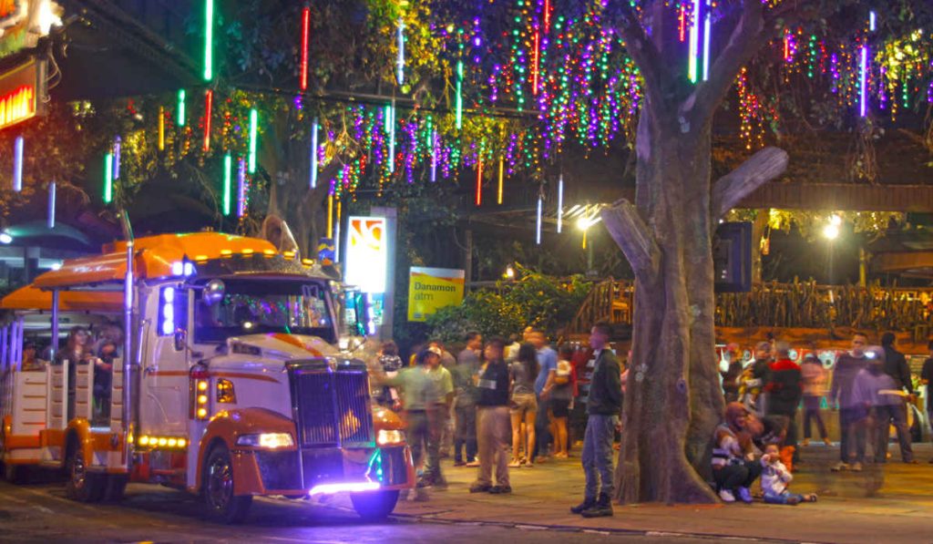 Safari Malam Selama Libur Lebaran Sensasi Berkeliling Malam Hari